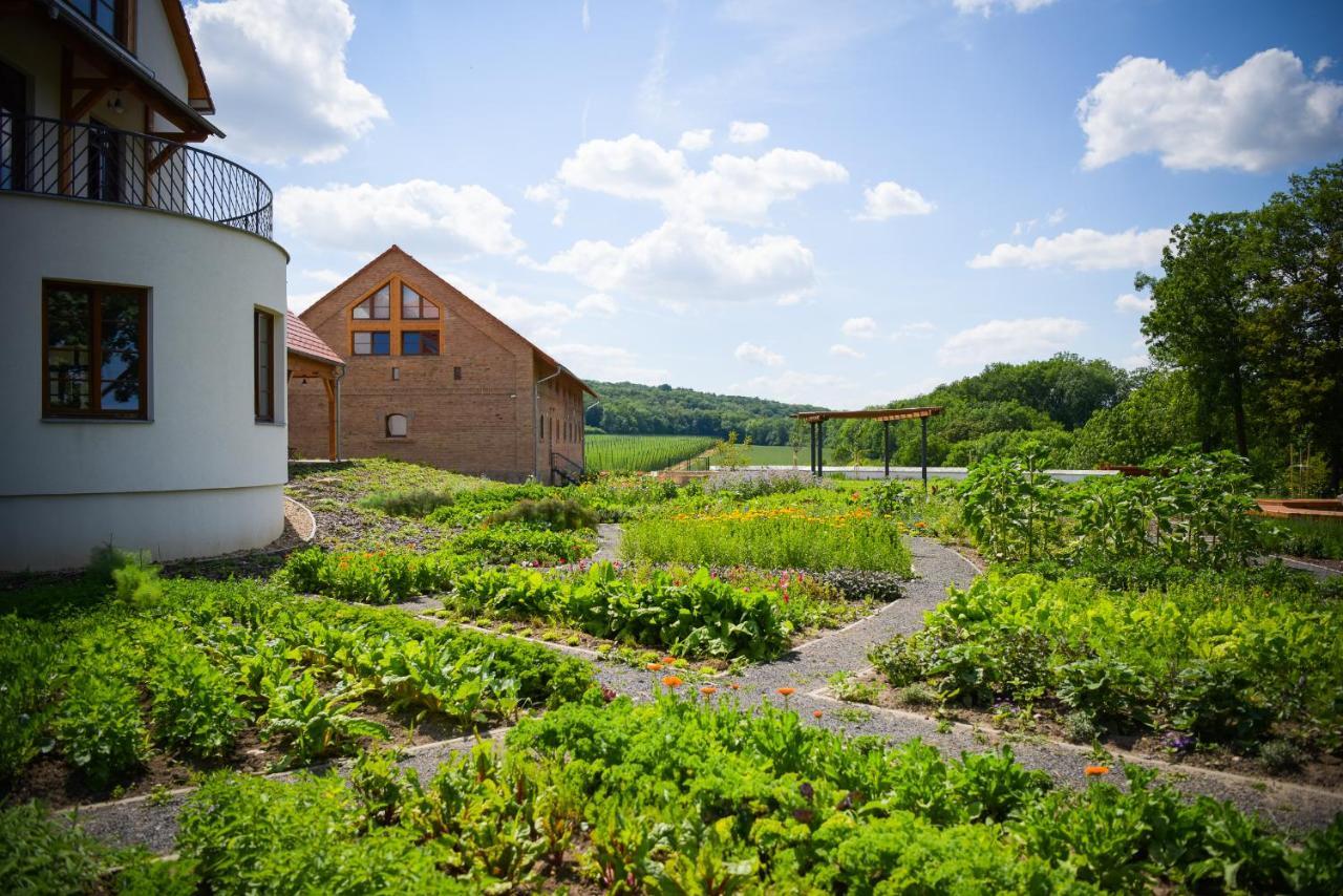 Dvůr Perlová voda Budyne nad Ohri Exterior foto