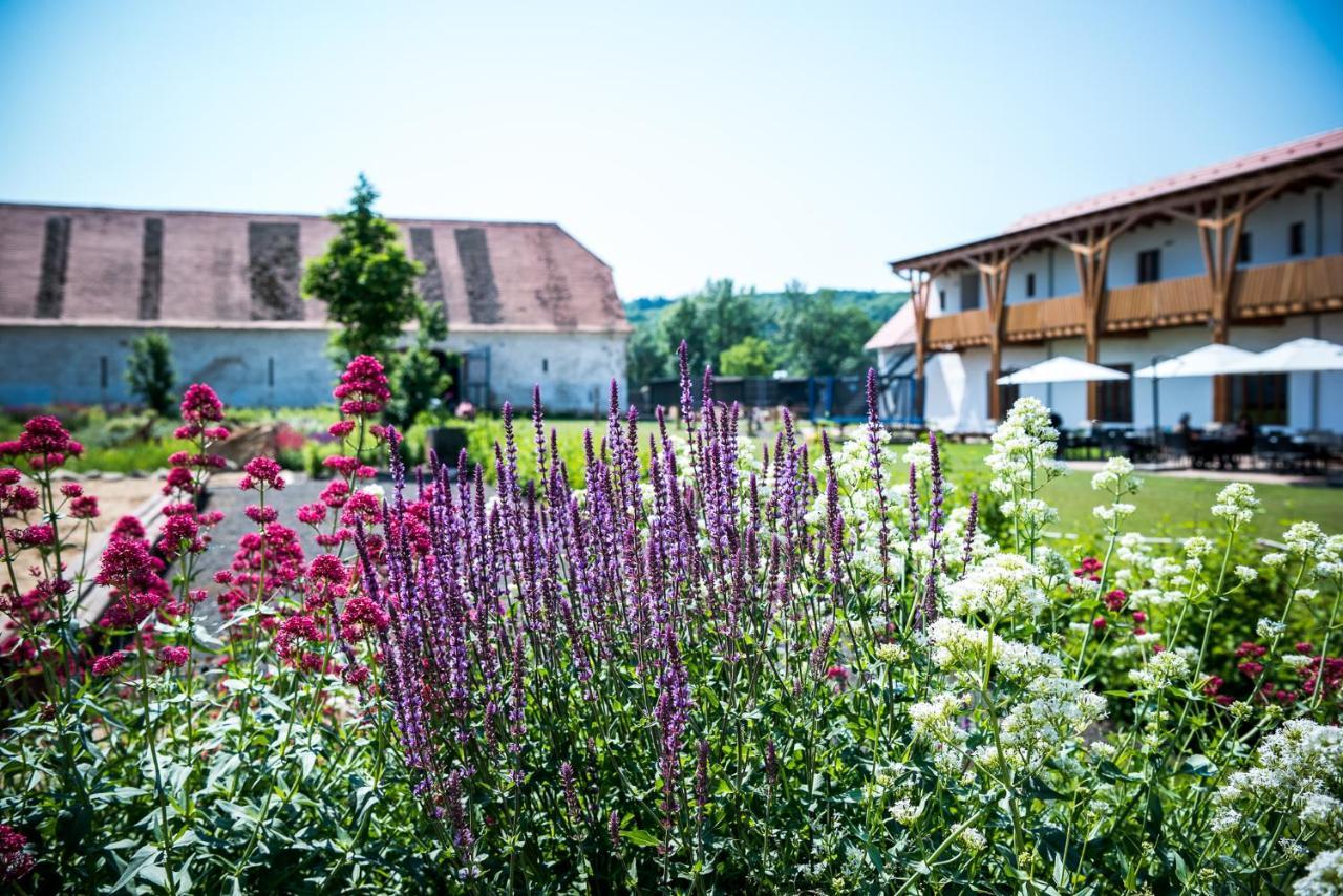 Dvůr Perlová voda Budyne nad Ohri Exterior foto