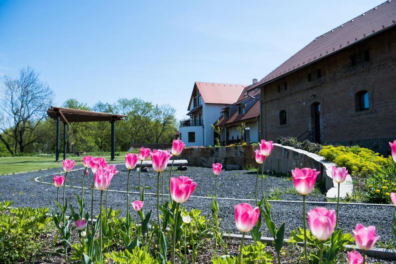 Dvůr Perlová voda Budyne nad Ohri Exterior foto